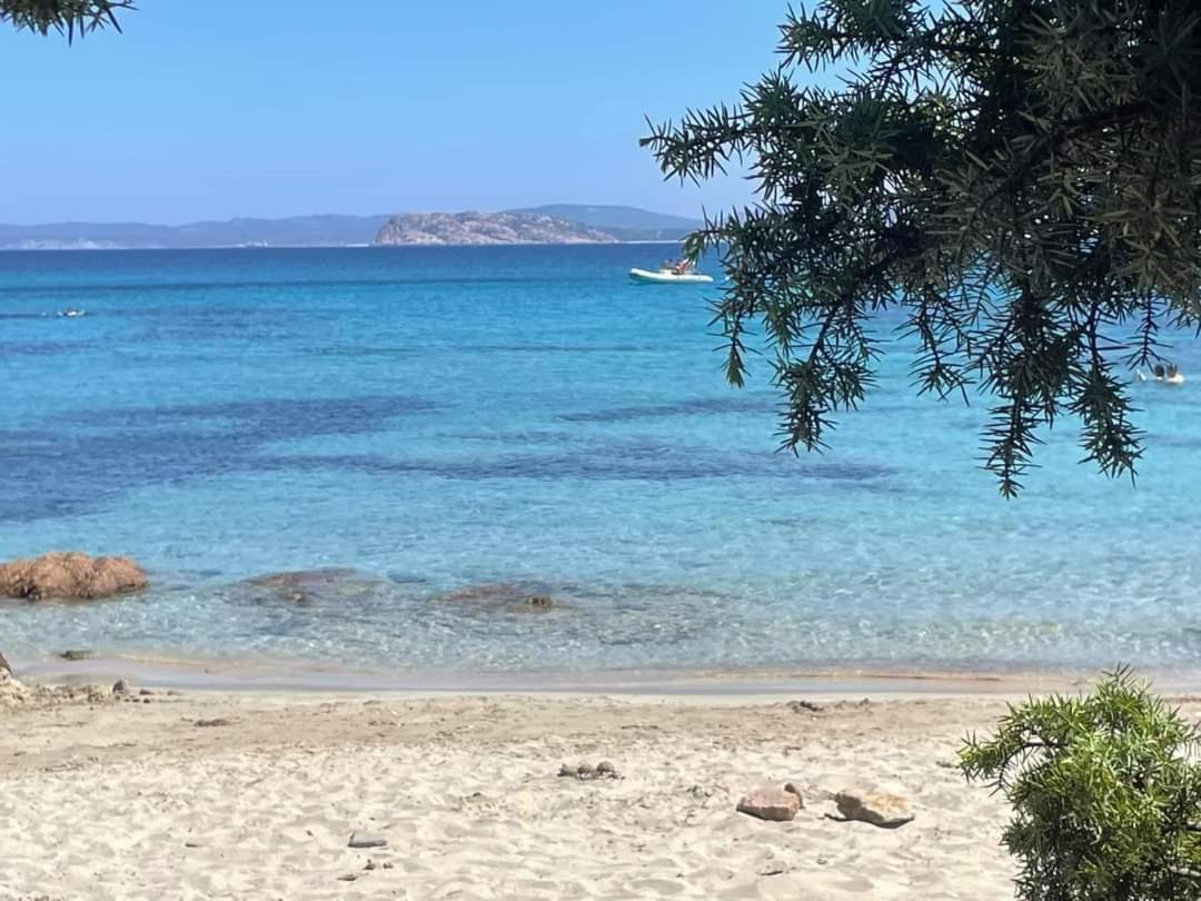 Surf House Mirice Vignola Mare